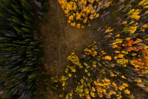 birds-eye view of trail