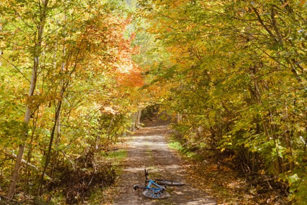 Bike lying on trail